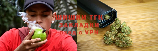 спиды Бородино