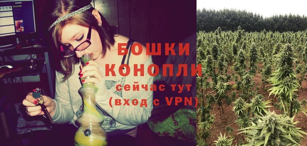 спиды Бородино