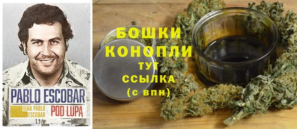 прущие грибы Снежинск