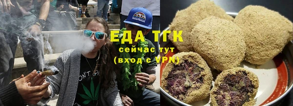 спиды Бородино