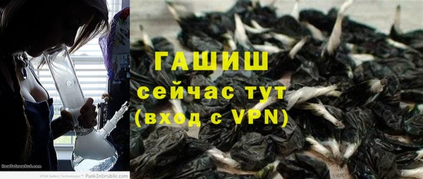 спиды Бородино