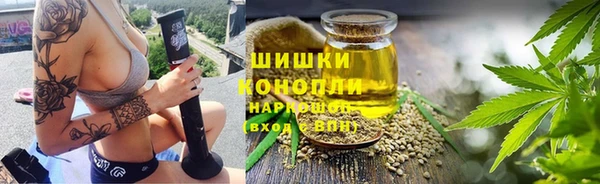 спиды Бородино