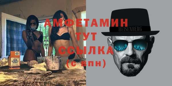 спиды Бородино