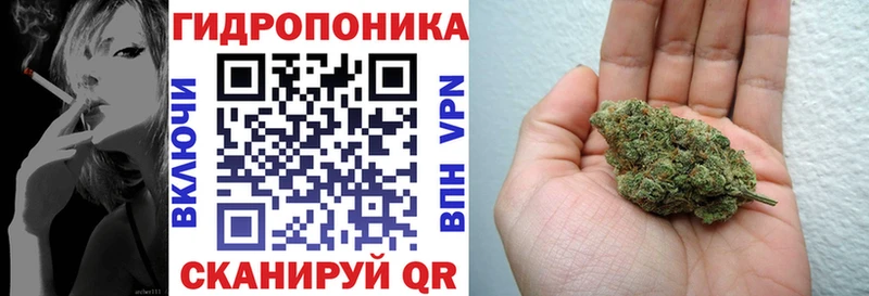 Каннабис гибрид  купить   Шатура 